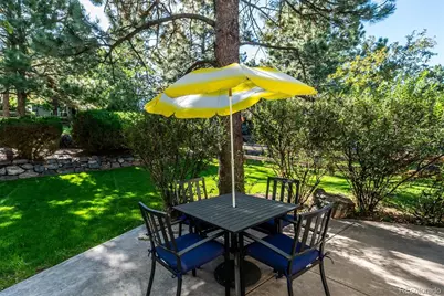 7454 Tenby Court, Castle Pines, CO 80108 - Photo 27