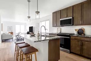 6317 Hanover St, Denver, CO 80238 - Photo 15