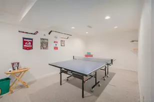 707 Huntington Pl, Highlands Ranch, CO 80126 - Photo 33