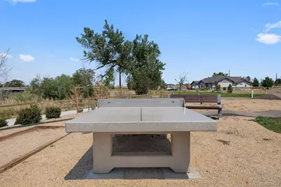 9287 Twenty Mile Road #401, Parker, CO 80134 - Photo 45