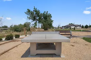 9287 Twenty Mile Road, Parker, CO 80134 - Photo 45