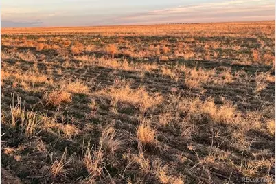 51000 E 104th Avenue, Bennett, CO 80102 - Photo 3