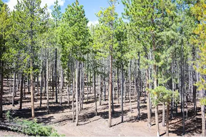 8320 S Warhawk Road, Conifer, CO 80433 - Photo 39