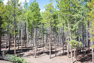 8320 S Warhawk Rd, Conifer, CO 80433 - Photo 39