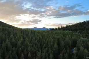 8320 S Warhawk Rd, Conifer, CO 80433 - Photo 35