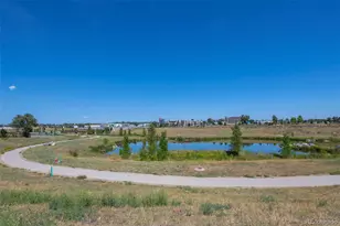 6781 Hooker St, Denver, CO 80221 - Photo 35