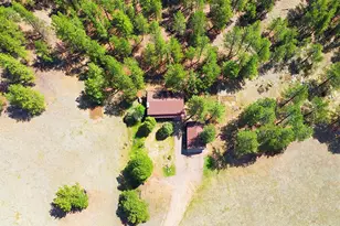 2830 Kerr Gulch Rd, Evergreen, CO 80439 - Photo 45