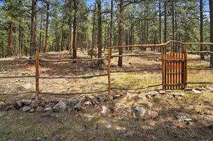 2830 Kerr Gulch Rd, Evergreen, CO 80439 - Photo 33
