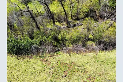2830 Kerr Gulch Road, Evergreen, CO 80439 - Photo 37