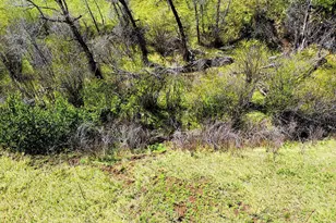 2830 Kerr Gulch Rd, Evergreen, CO 80439 - Photo 37