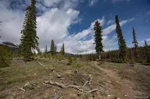 91100 Ryan Gulch Rd, Silverthorne, CO 80498 - Photo 23