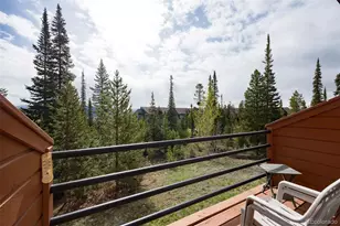 91100 Ryan Gulch Rd, Silverthorne, CO 80498 - Photo 15
