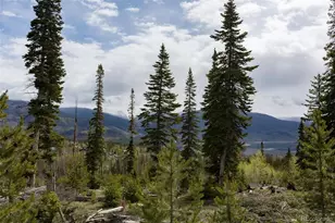 91100 Ryan Gulch Rd, Silverthorne, CO 80498 - Photo 25