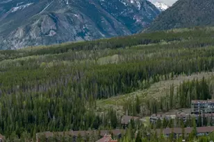 91100 Ryan Gulch Rd, Silverthorne, CO 80498 - Photo 35