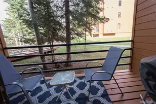 91100 Ryan Gulch Rd, Silverthorne, CO 80498 - Photo 9