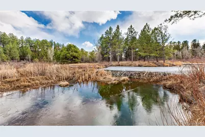 436 Fox Farm Road, Larkspur, CO 80118 - Photo 41