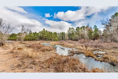 436 Fox Farm Road, Larkspur, CO 80118 - Photo 43