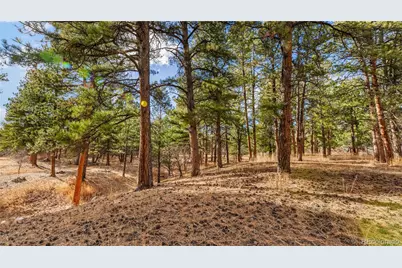 436 Fox Farm Road, Larkspur, CO 80118 - Photo 17