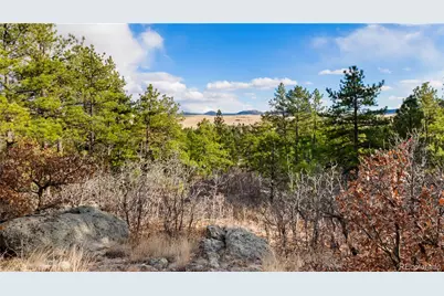 436 Fox Farm Road, Larkspur, CO 80118 - Photo 45