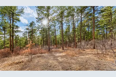 436 Fox Farm Road, Larkspur, CO 80118 - Photo 15