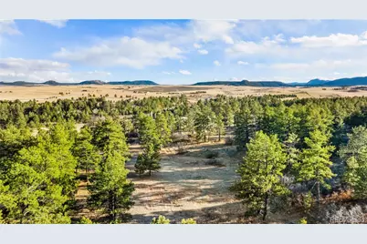 436 Fox Farm Road, Larkspur, CO 80118 - Photo 27