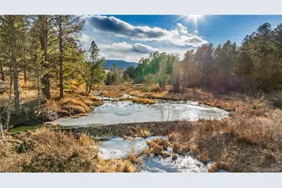 436 Fox Farm Road, Larkspur, CO 80118 - Photo 7