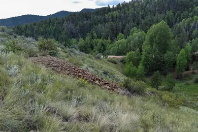 231 Deer Lane, Guffey, CO 80820 - Photo 29