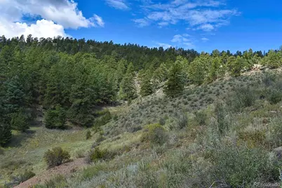 231 Deer Lane, Guffey, CO 80820 - Photo 7