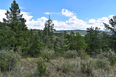 231 Deer Lane, Guffey, CO 80820 - Photo 19