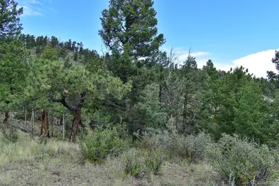 231 Deer Lane, Guffey, CO 80820 - Photo 17