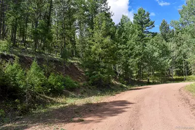 231 Deer Lane, Guffey, CO 80820 - Photo 33