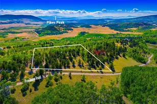 210 Pine Ridge Rd, Fairplay, CO 80440 - Photo 9