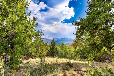 210 Pine Ridge Road, Fairplay, CO 80440 - Photo 47