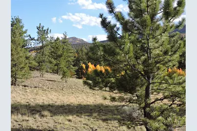 5113 Campfire Road, Hartsel, CO 80449 - Photo 9