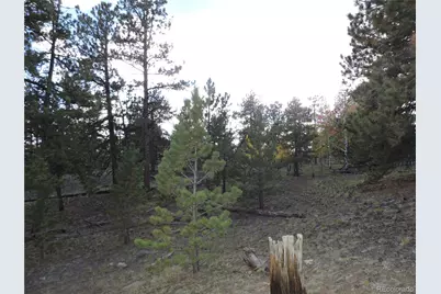 5113 Campfire Road, Hartsel, CO 80449 - Photo 7