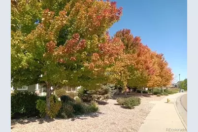 10191 Roughshod Court, Colorado Springs, CO 80925 - Photo 33