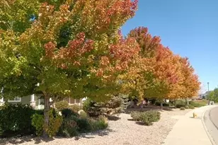 10191 Roughshod Ct, Colorado Springs, CO 80925 - Photo 33