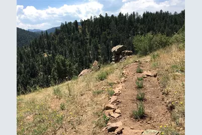 5162 Raven Gulch Road, Morrison, CO 80465 - Photo 21