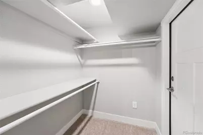 3040 N Columbine Street, Denver, CO 80205 - Photo 27