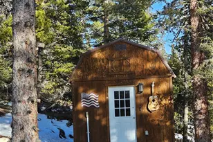 133 Gold Trail, Fairplay, CO 80440 - Photo 5