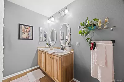 6235 Turnstone Place, Castle Rock, CO 80104 - Photo 21