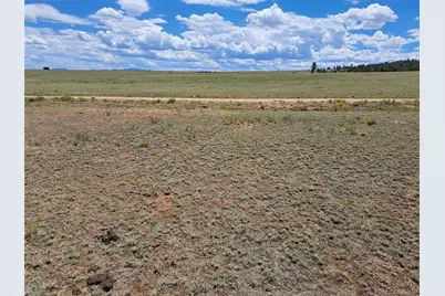 389 Park Road, Hartsel, CO 80449 - Photo 9