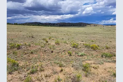 389 Park Road, Hartsel, CO 80449 - Photo 19