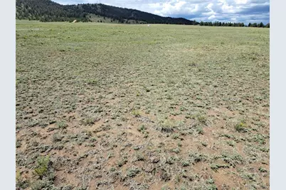 389 Park Road, Hartsel, CO 80449 - Photo 15