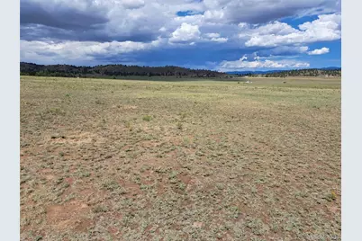 389 Park Road, Hartsel, CO 80449 - Photo 13