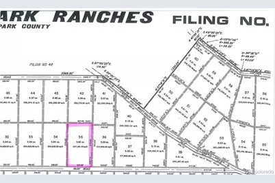 389 Park Road, Hartsel, CO 80449 - Photo 21