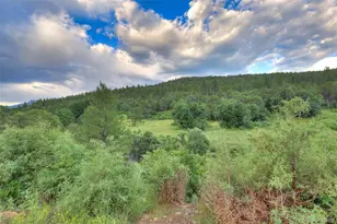 33041 Big Springs Overlook, Trinidad, CO 81082 - Photo 9