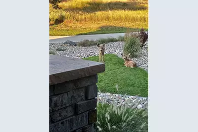 8436 Lost Reserve Court, Parker, CO 80134 - Photo 45