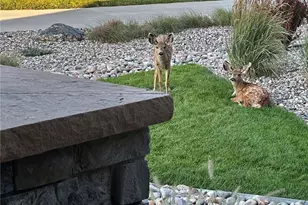 8436 Lost Reserve Ct, Parker, CO 80134 - Photo 45