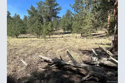 565 Hayhook Way, Hartsel, CO 80449 - Photo 11
